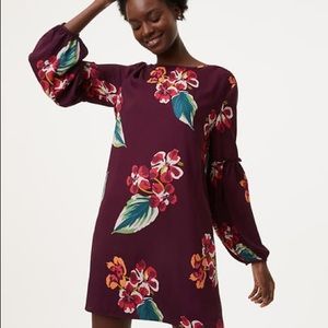 LOFT Autumn Luau Ruffle Blouson Dress, plum, sz L